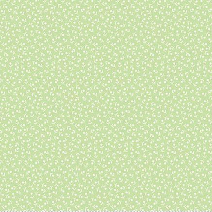 SUGARBERRY - A1468G - 100% COTTON