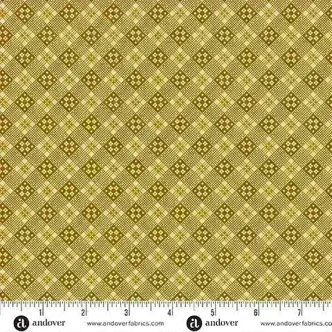TOASTED - A5868N - 100% COTTON