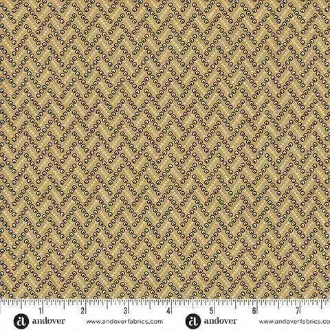 TOASTED - A5871N - 100% COTTON