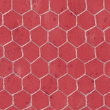 Chicken Scratch PB5729R 108" Backing