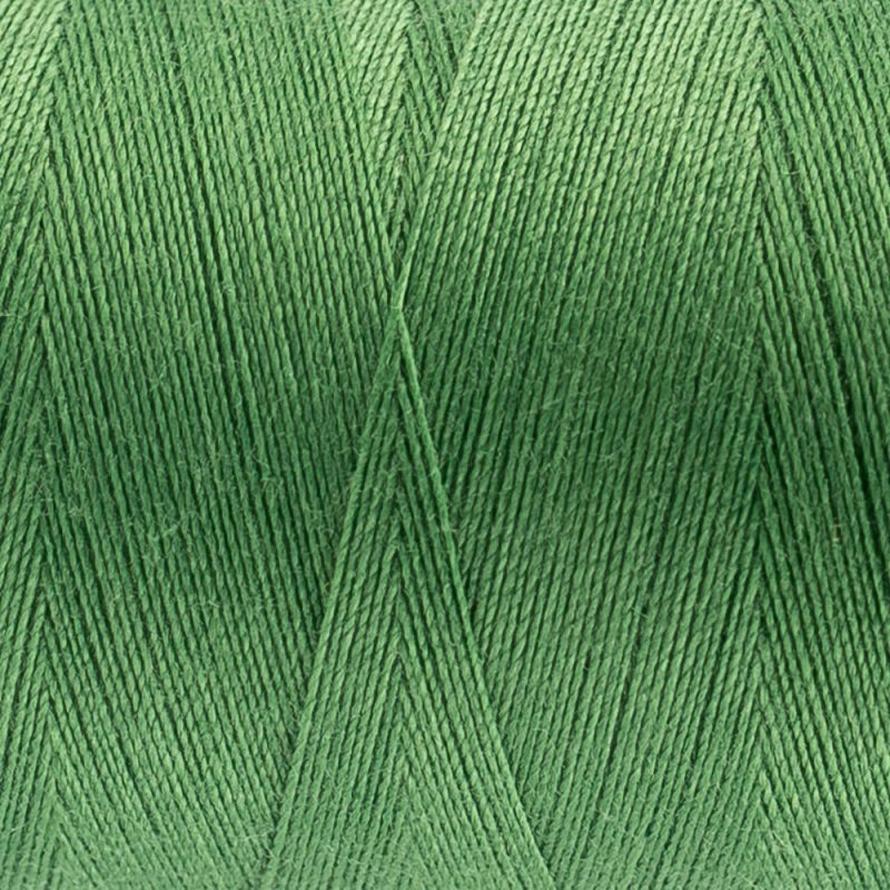 Thread - Designer Polyester - 40Wt - DS198 - Granny Smith