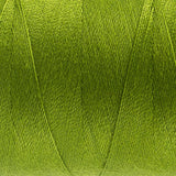 Thread - Designer Polyester - 40Wt - DS844 - Lima