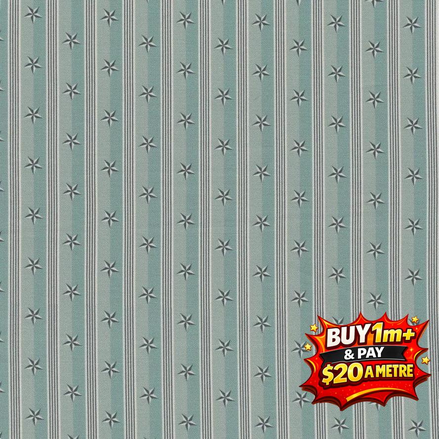 DV5819 #ST ETIENNE ETOLIE #2