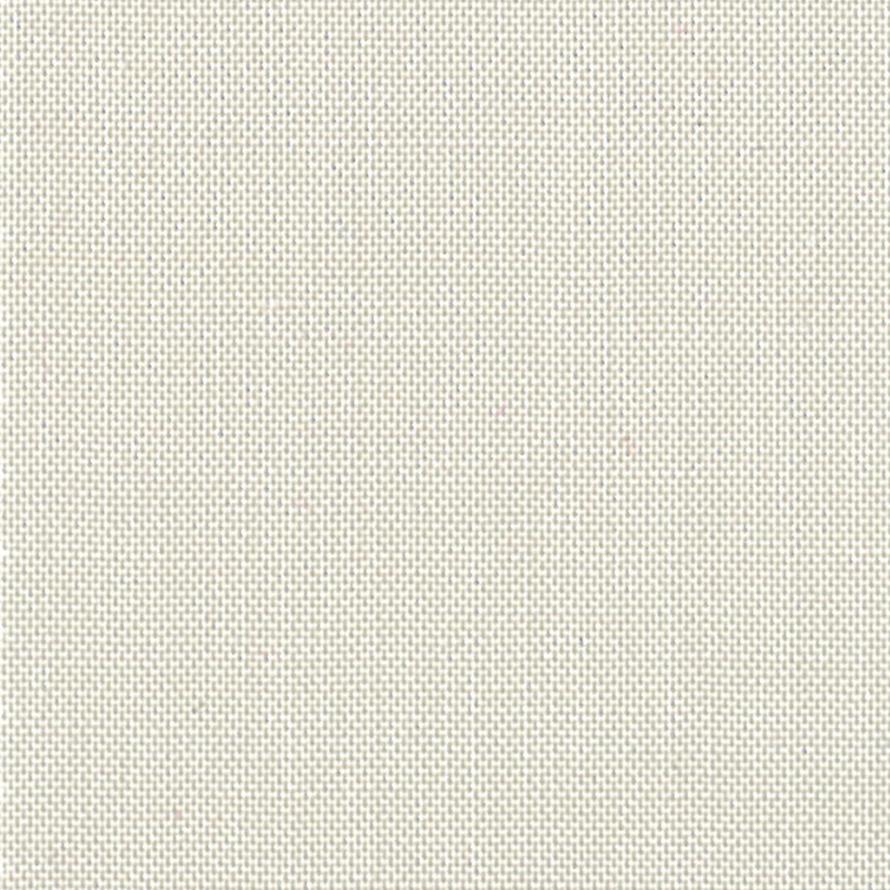 Devonstone Solids 017 STONE FOSSIL