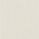 Devonstone Solids 017 STONE FOSSIL