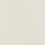 Devonstone Solids 017 STONE FOSSIL