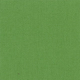 Devonstone Solids 030 CROCODILE GREEN