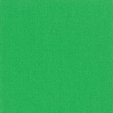 Devonstone Solids 031 ALOE VERA