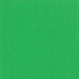 Devonstone Solids 031 ALOE VERA