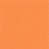 Devonstone Solids 036 TIGER PRAWN