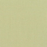 Devonstone Solids 041 PISTACHIO