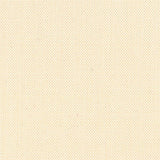 Devonstone Solids 051 SEA SHELL