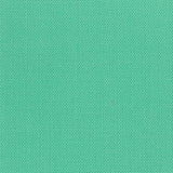 Devonstone Solids 118 SPEARMINT