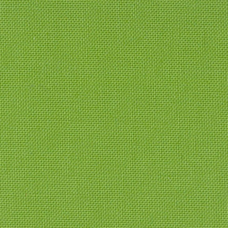 Devonstone Solids 134 CORAL GREEN