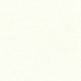 Devonstone Solids 151 CLOUD DANCER