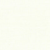 Devonstone Solids 151 CLOUD DANCER