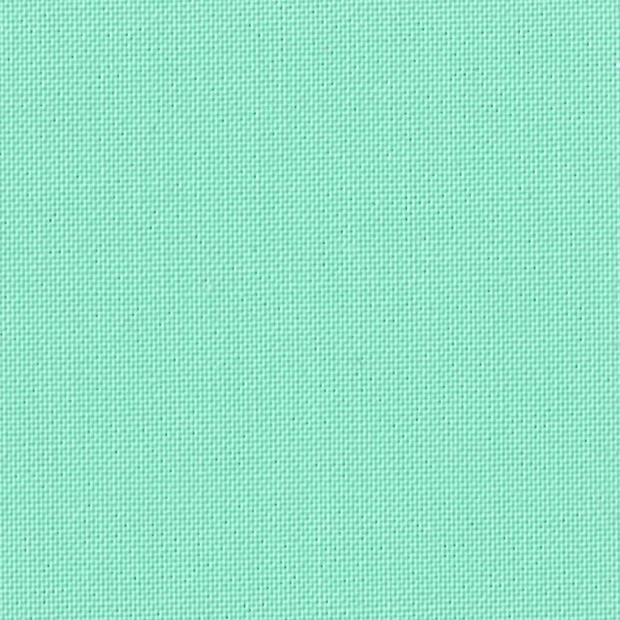 Devonstone Solids 156 CABBAGE