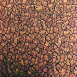 Dinosaur Dreams Chris Sanchez 100% Cotton Fabric WOF 110cm-112cm