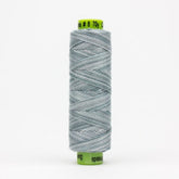 Thread - Egyptian Cotton - Sue Spargo Eleganza - SSEZM76 - Ironclad - 38.4m/42yd