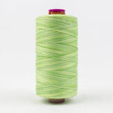 Thread - Fruitti Egyptian Cotton - 12Wt - FT28 - Lime
