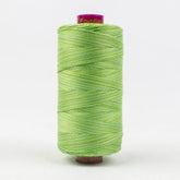 Thread - Fruitti Egyptian Cotton - 12Wt - FT29 - Grass