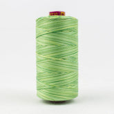 Thread - Fruitti Egyptian Cotton - 12Wt - FT30 - Leaves