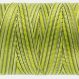 Thread - Fruitti Egyptian Cotton - 12Wt - FT32 - Moss