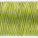 Thread - Fruitti Egyptian Cotton - 12Wt - FT32 - Moss