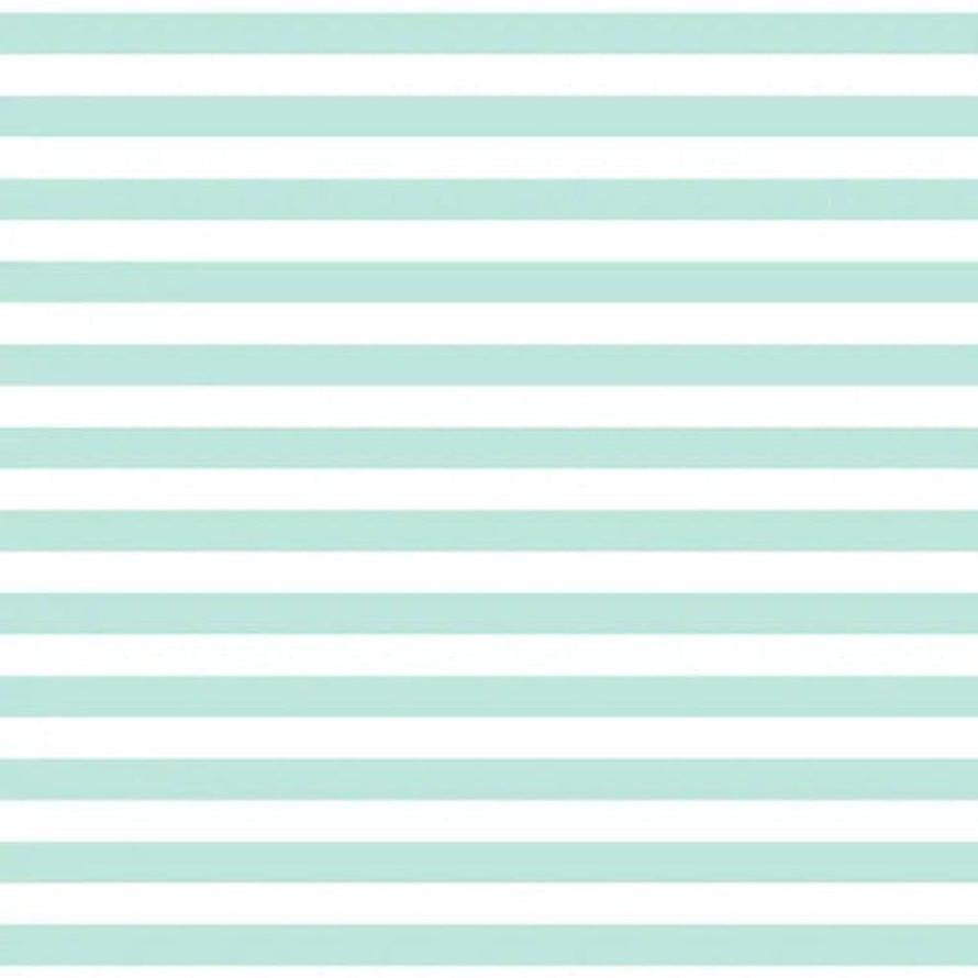 FUNDAMENTALS 1/2 STRIPE SEAFOAM DV2872