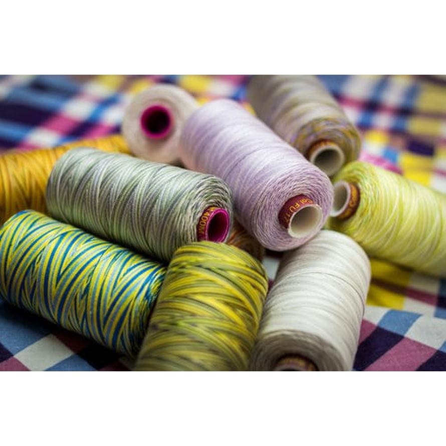 Thread - Fruitti Egyptian Cotton - 12Wt - FT34 - Box Turtle