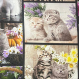 100% Cotton Fabric WOF 110cm- 112cm