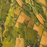 KK Fabric Air Force Centenary