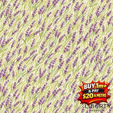 A POSTCARD FROM THE HIGHLANDS L01667366A 100% COTTON