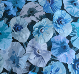 Liberty Tana Lawn™ Poppy Wonder 03633146B 136cm WOF