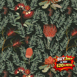 NORA'S NATIVES DV6354