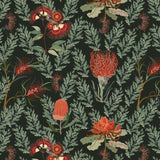 NORA'S NATIVES DV6354