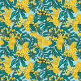 Nora's Natives - Golden Wattle Bliss DV6713