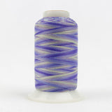Thread - Lint-Free Cotton - Silco™ 35Wt - SCM12 - Voilets/Blues - 700m/766yd