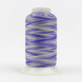 Thread - Lint-Free Cotton - Silco™ 35Wt - SCM12 - Voilets/Blues - 700m/766yd