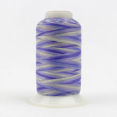 Thread - Lint-Free Cotton - Silco™ 35Wt - SCM12 - Voilets/Blues - 700m/766yd