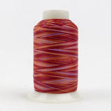 Thread - Lint-Free Cotton - Silco™ 35Wt - SCM30 - Purple/Orange/Red - 700m/766yd