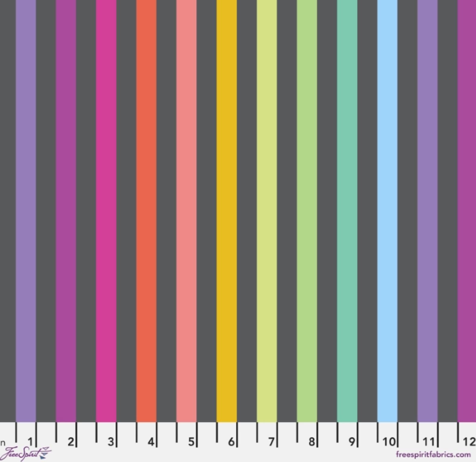 Tula Pink Graywork Disco Stripe Carbon PWTP231.CARBON *** PRE-ORDER - ARRIVING OCTOBER 2025 ***
