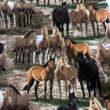 Wild Wings & Persis Clayton Weirs 100% Cotton Fabric WOF 110cm-112cm