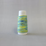 Lecien Cosmo Hidamari Multicolor Sour Candy Japanese Cotton Sashiko thread 30 meter skein 89-304