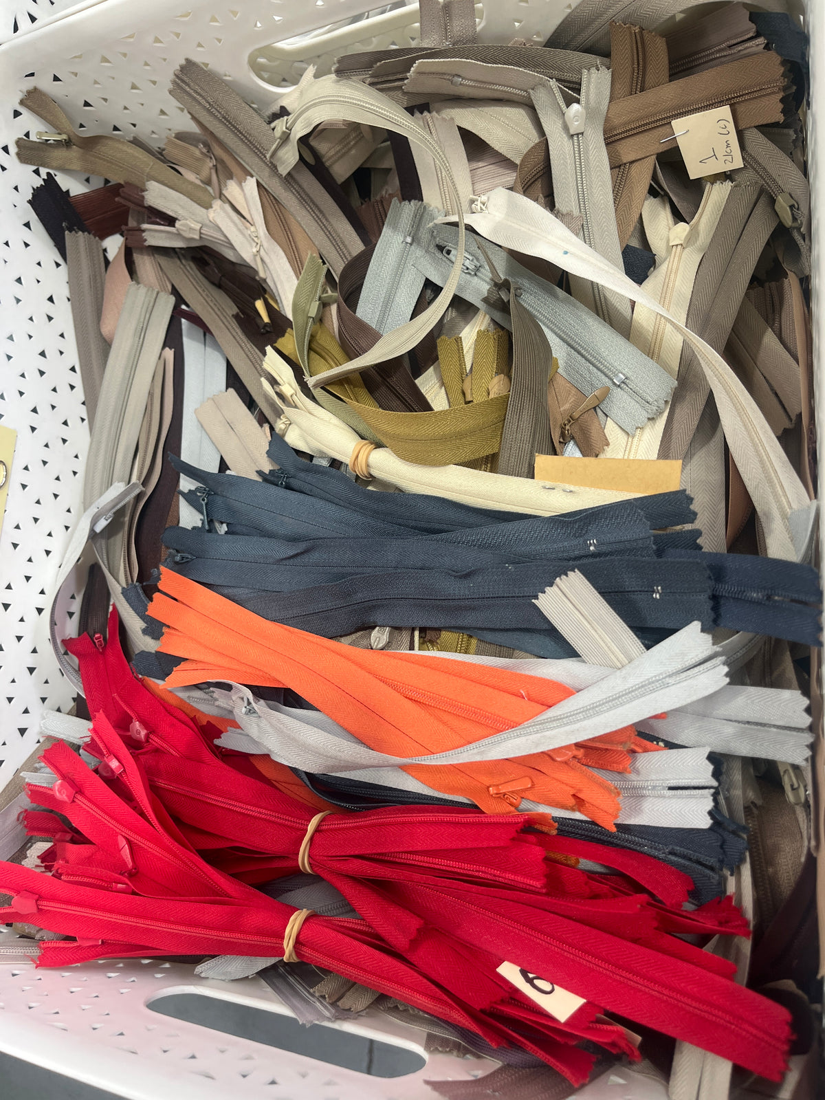 Zips 10 for $1