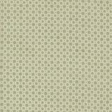 Acorn Hollow Cotton Fabric 100%