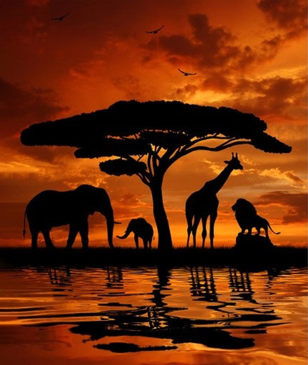 African Safari Panel