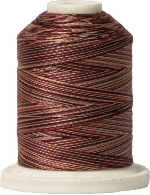 Signature 40 weight variegated. 100% cotton. WOODLANDS SN003