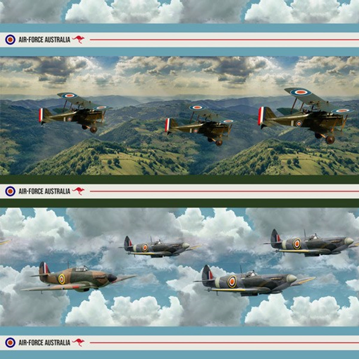 Air Force Centenary Tiger Moth and Spitfire Aircraft Stripe