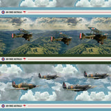 Air Force Centenary Tiger Moth and Spitfire Aircraft Stripe